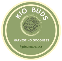 Kio Buds logo